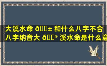 大溪水命 🐱 和什么八字不合「八字纳音大 💮 溪水命是什么意思」